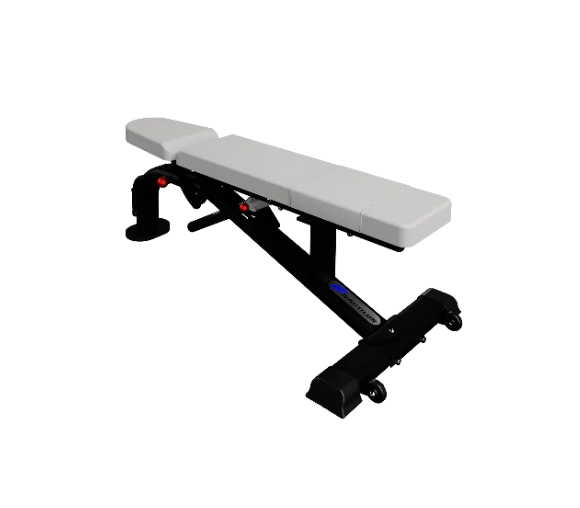 鸚鵡螺槓桿二頭肌彎舉