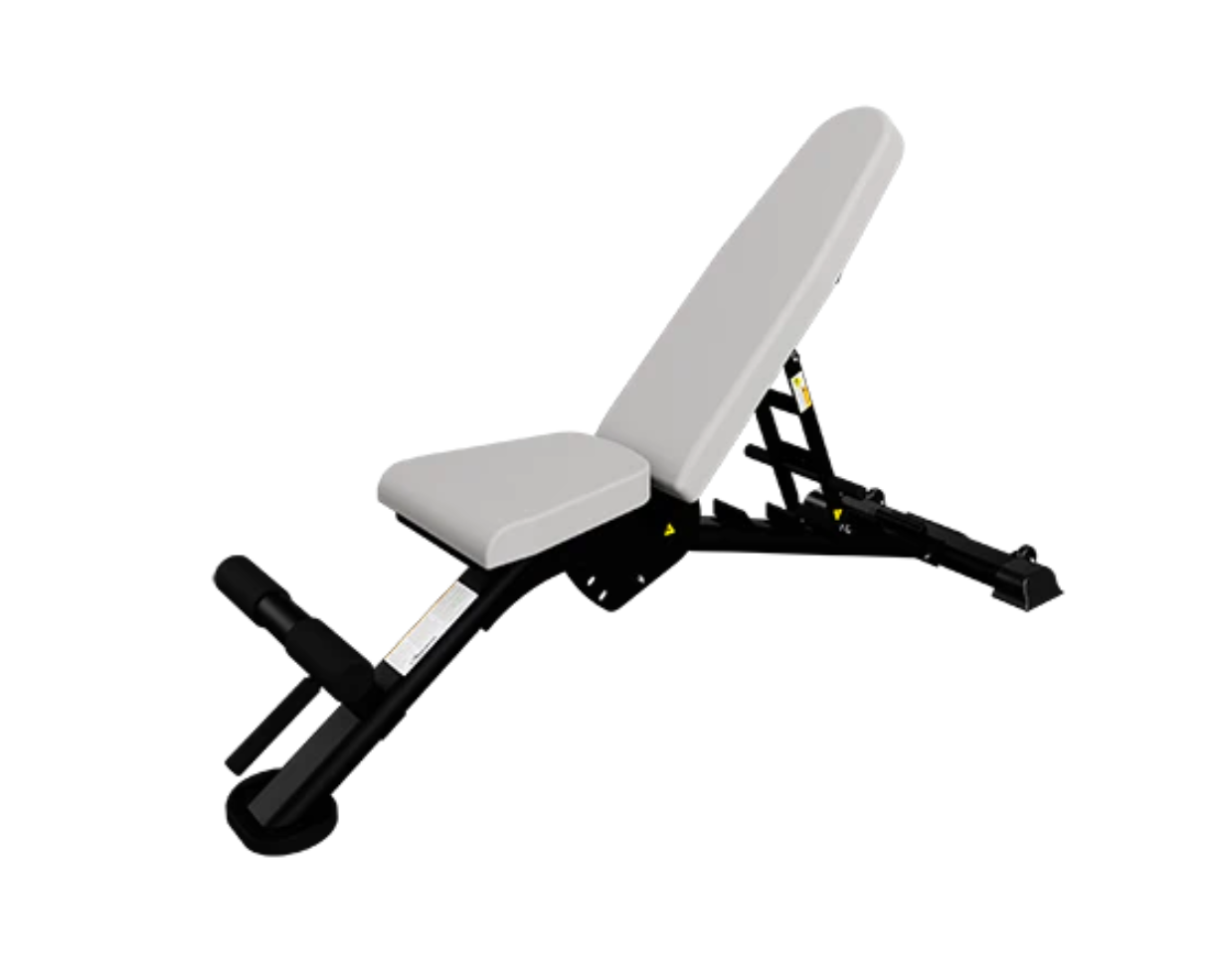 鸚鵡螺槓桿二頭肌彎舉