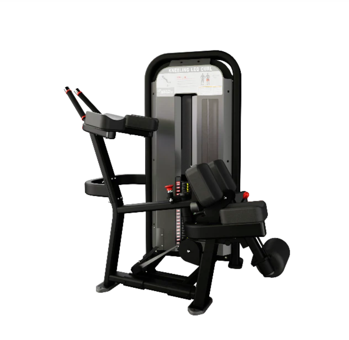 鸚鵡螺槓桿二頭肌彎舉