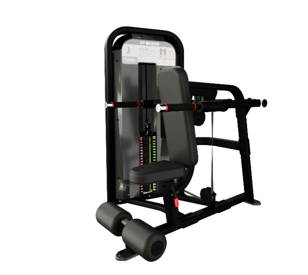 鸚鵡螺槓桿二頭肌彎舉