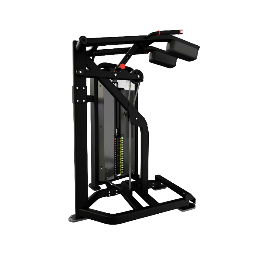 鸚鵡螺槓桿二頭肌彎舉