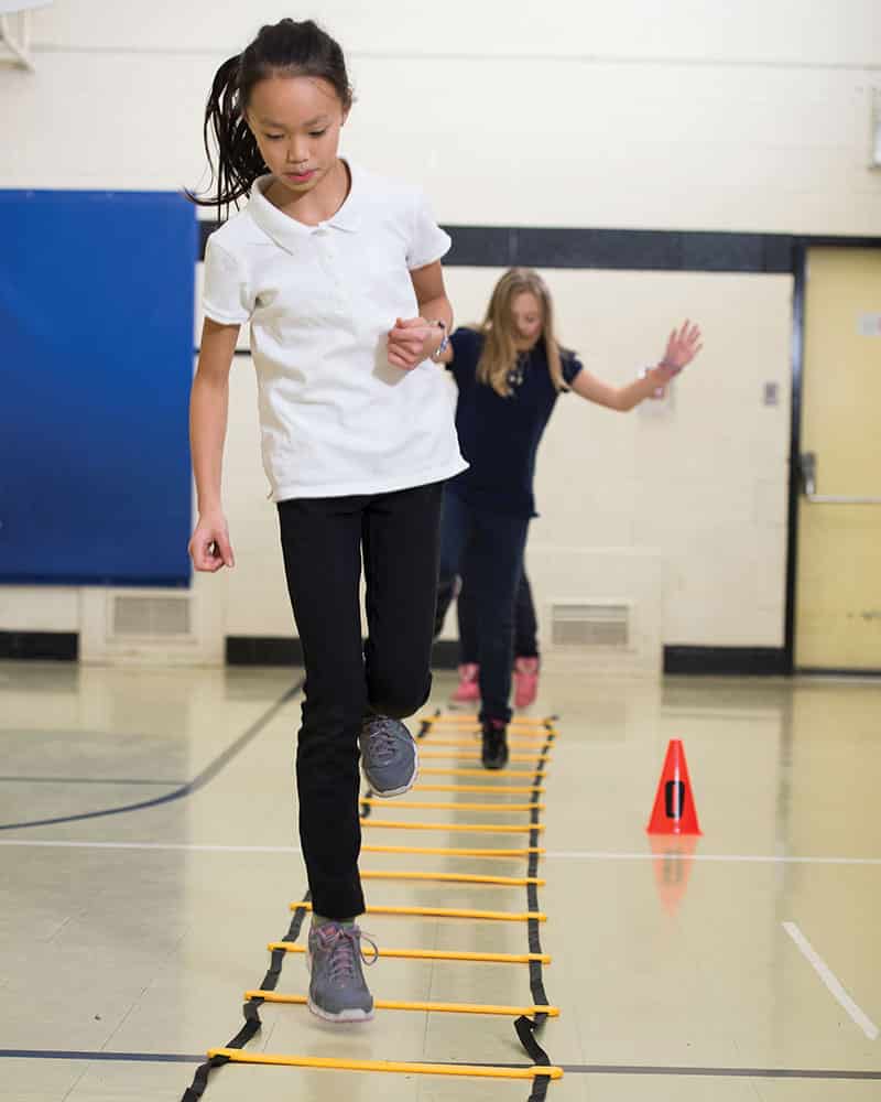 Concorde Agility Ladder