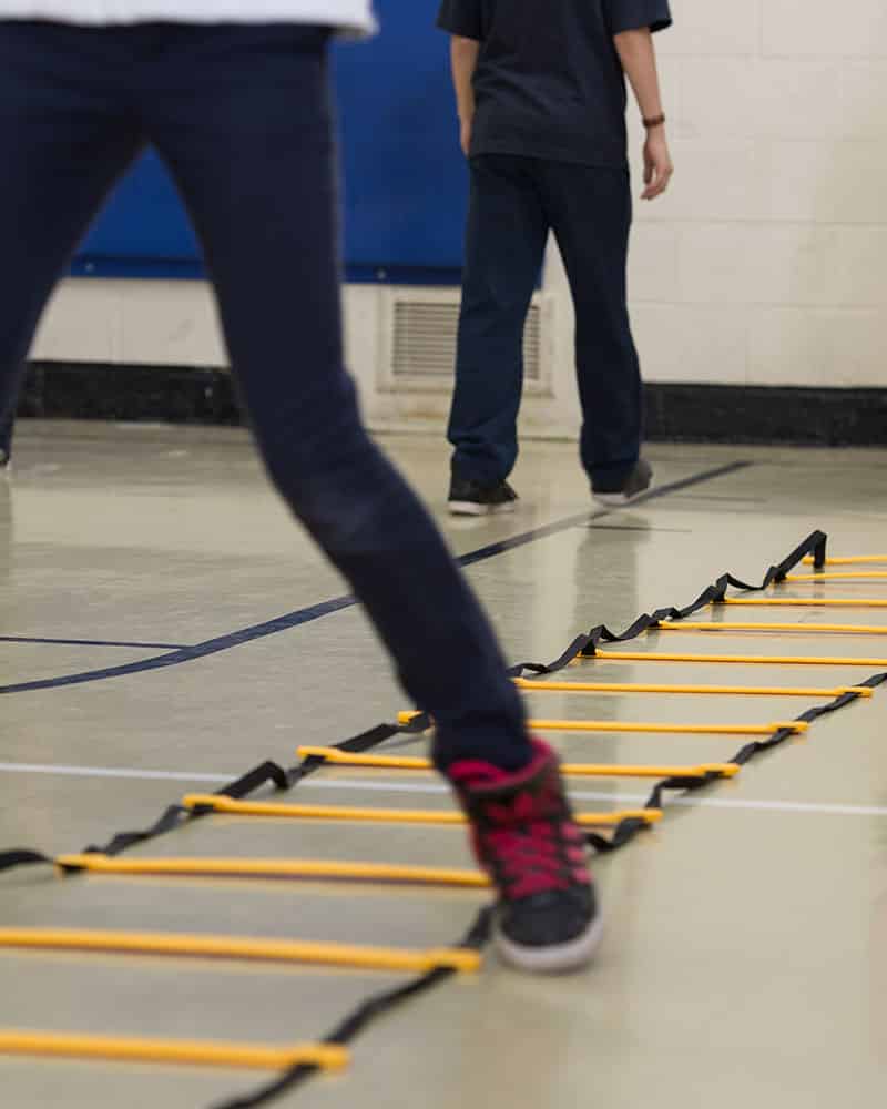 Concorde Agility Ladder