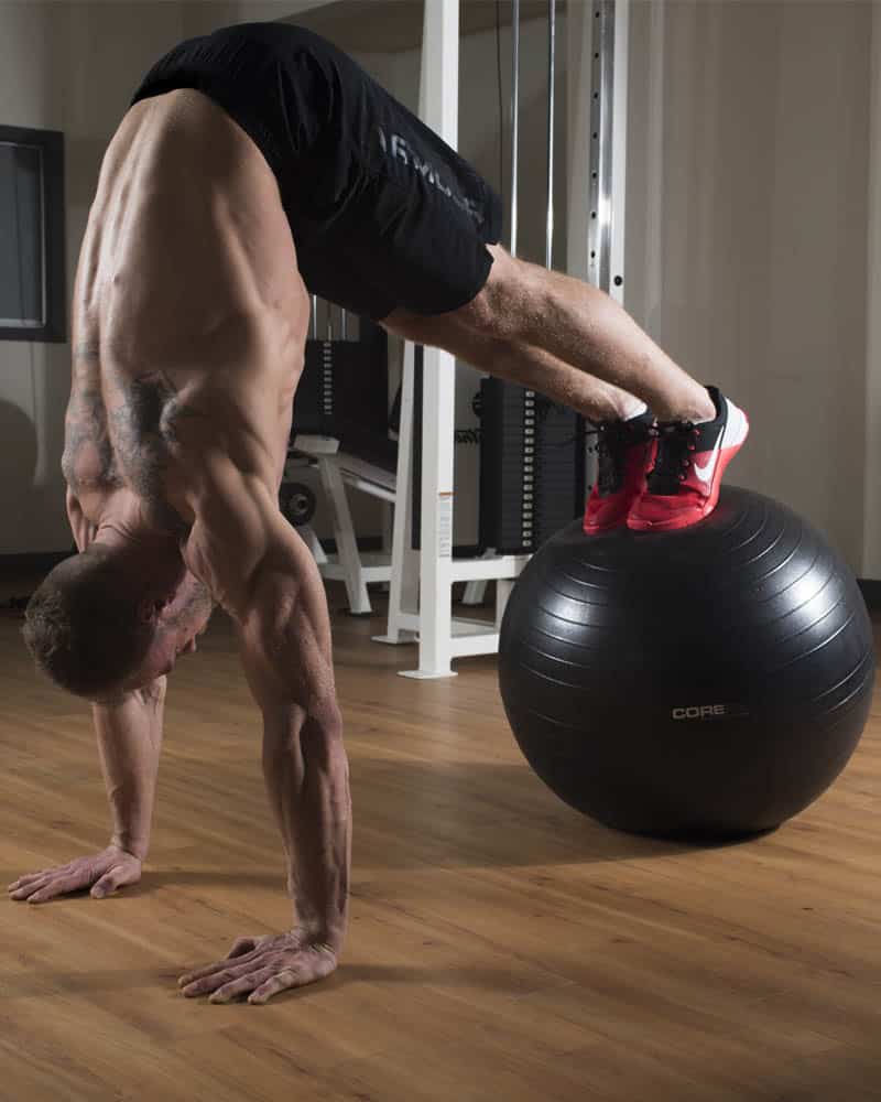 Home Gym Stability Balls