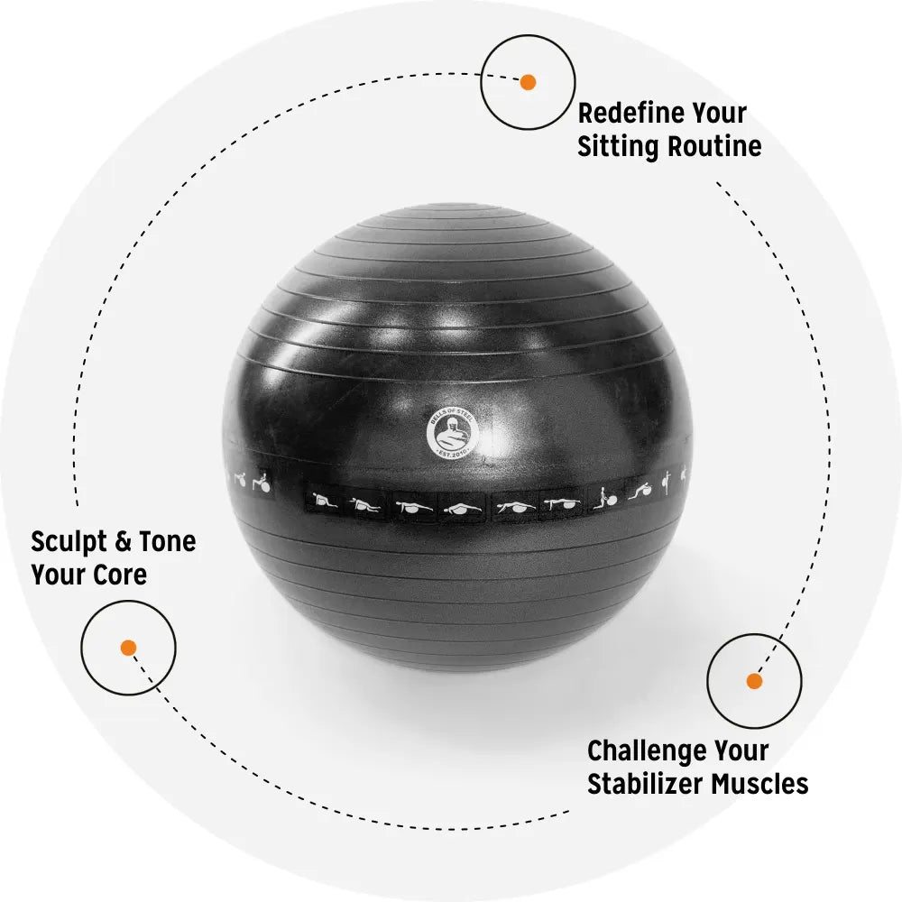 Bells of Steel Exercise Ball