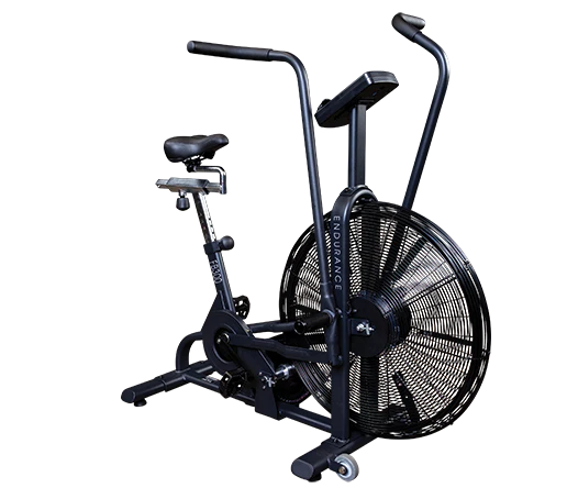 ASSAULT AIR BIKE CLASSIC [Occasion certifiée]