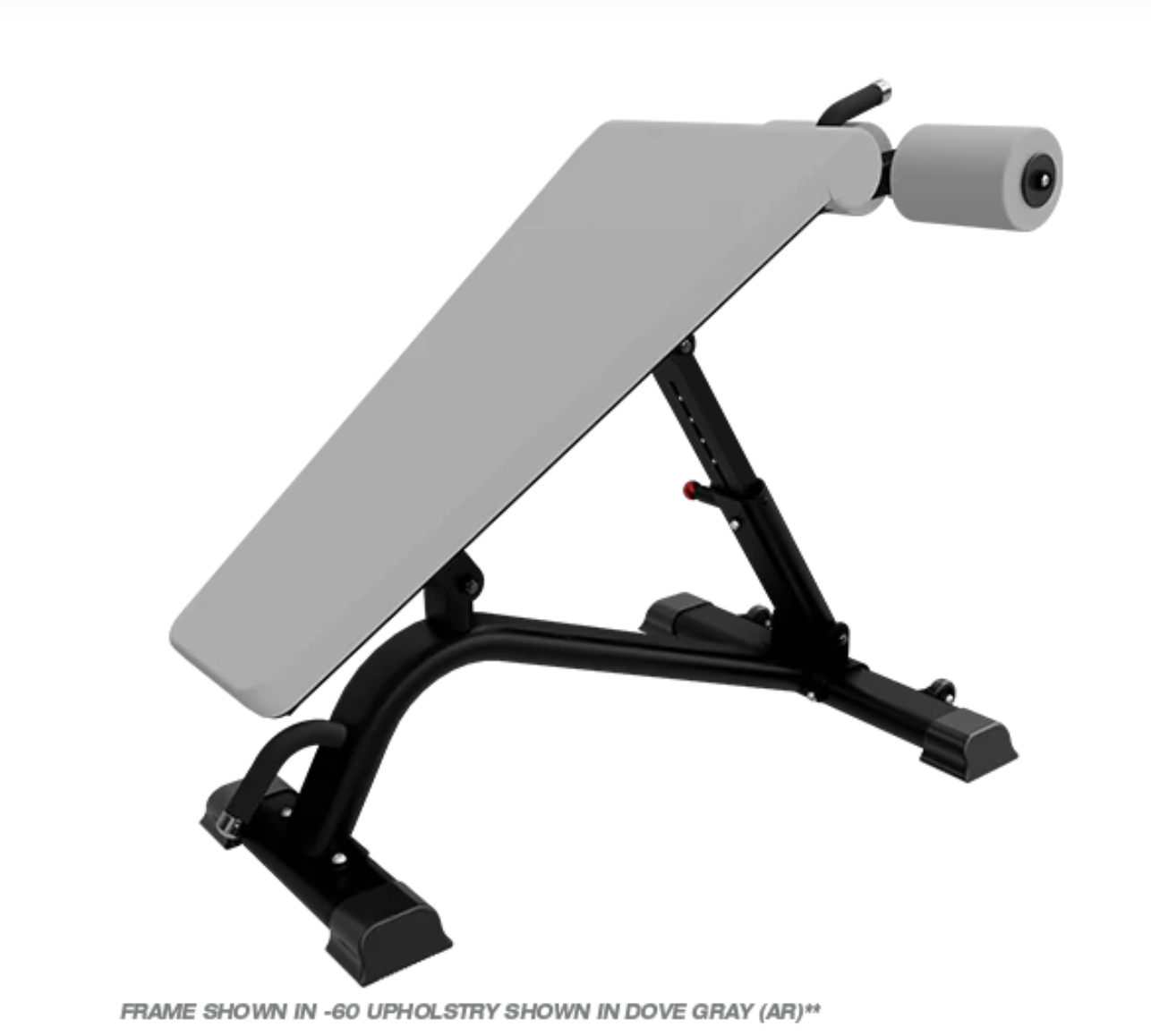 鸚鵡螺槓桿二頭肌彎舉