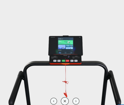 Lifesmart 2-in-1 Walking Pad Treadmill TM2305