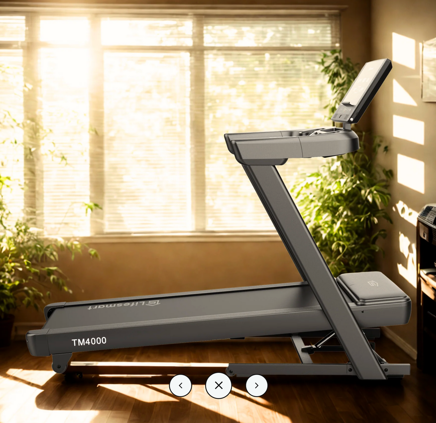 Lifesmart TM4000 PowerTouch™ Treadmill