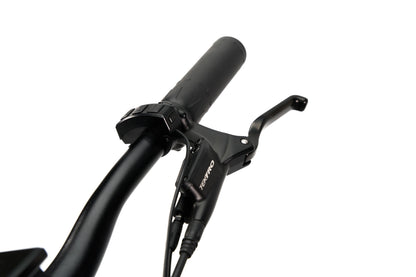 Synergy Kahuna E-Bike - Limited Edition