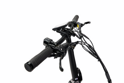 Synergy Icon Low Step E-Bike