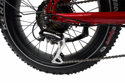 Synergy Icon Low Step E-Bike