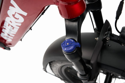 Synergy Icon Low Step E-Bike