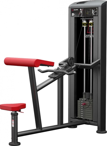 Atlantis Strength Horizontal curl MODEL B158[Quote Request]