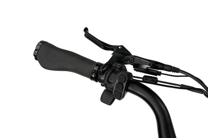 Synergy City 2 E-Bike