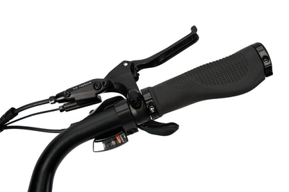 Synergy City 2 E-Bike