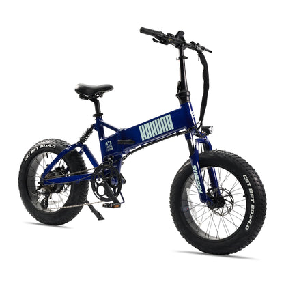 Synergy Kahuna E-Bike - Limited Edition