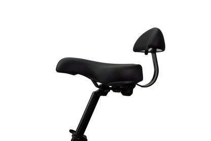 Synergy Triad 3 Wheel  E-Bike