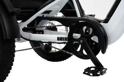 Synergy Triad 3 Wheel  E-Bike