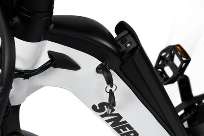 Synergy Triad 3 Wheel  E-Bike