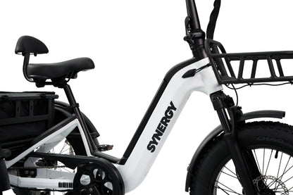 Synergy Triad 3 Wheel  E-Bike