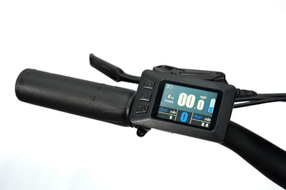 Synergy Triad 3 Wheel  E-Bike