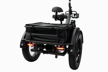 Synergy Triad 3 Wheel  E-Bike