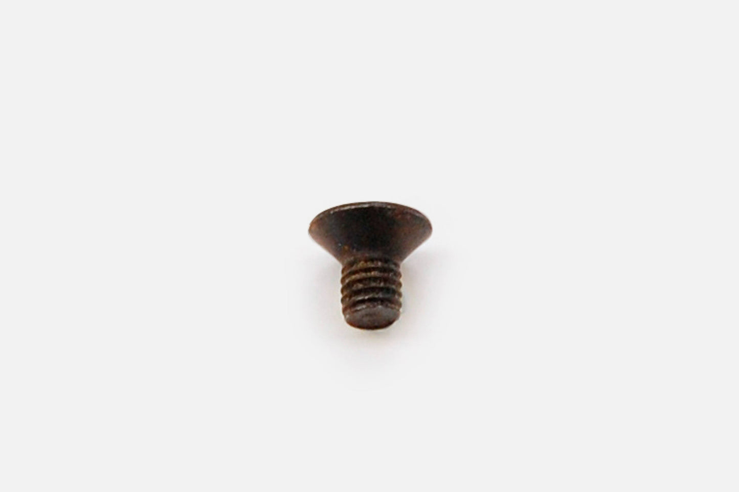 WaterRower Metallic M1/S1 Rail Extrusion Centre Bolt (2)