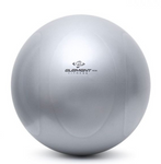 Commercial Stability Balls - 306 Fitness Repair & Sales