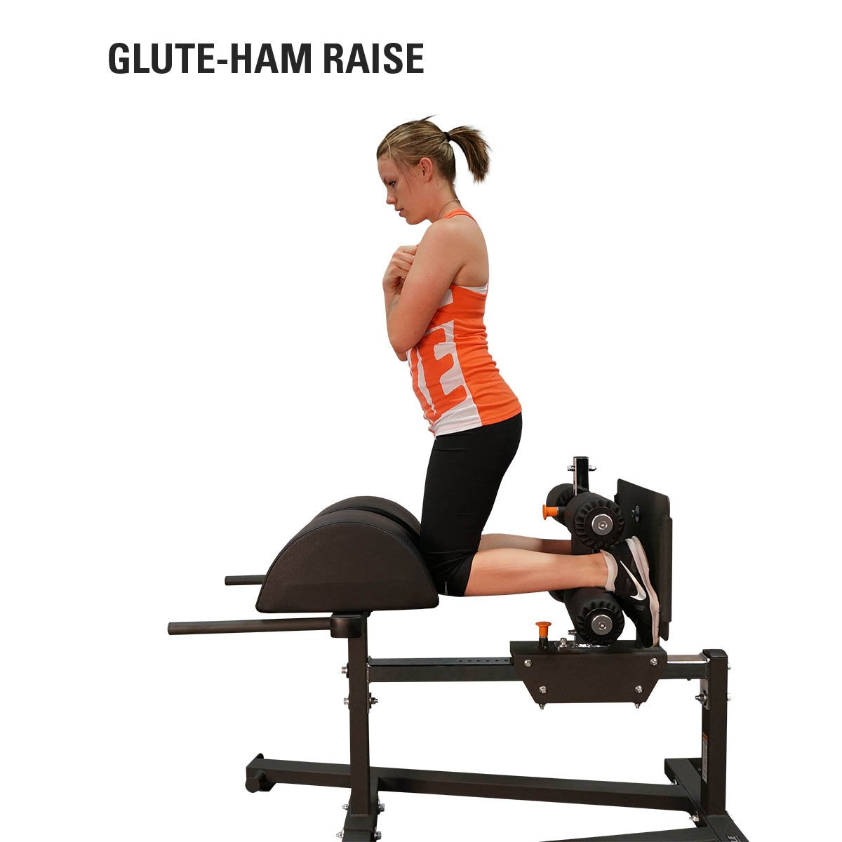 Torque Glute Ham Developer - 306 Fitness Repair & Sales