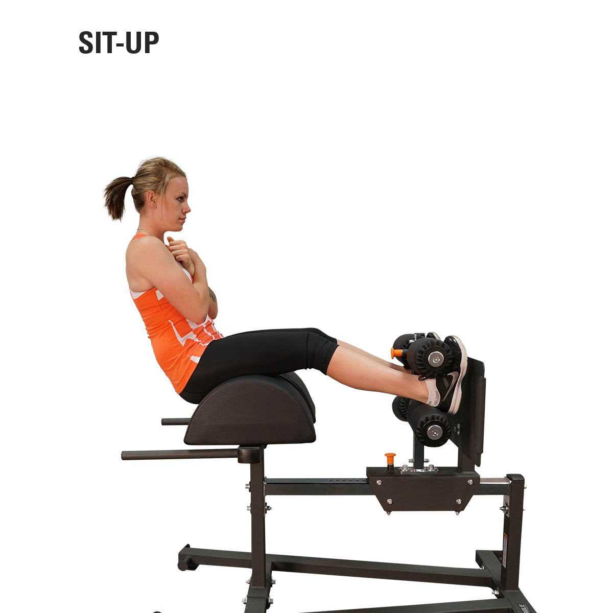 Torque Glute Ham Developer - 306 Fitness Repair & Sales