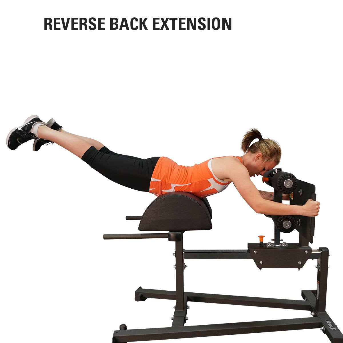 Torque Glute Ham Developer - 306 Fitness Repair & Sales