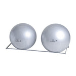 Element Fitness Wall Mounted Gym Ball Rack - 306 Fitness Repair & Sales