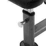 Element Fitness Preacher Curl Bench - 306 Fitness Repair & Sales