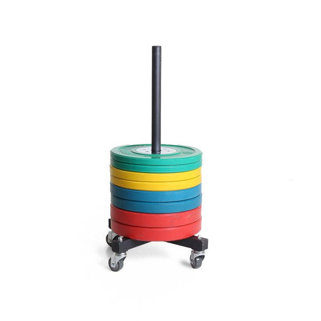 XM Vertical Bumper Plate Storage - 306 Fitness Repair & Sales